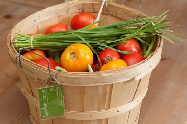 Community Supported Agriculture farm share.