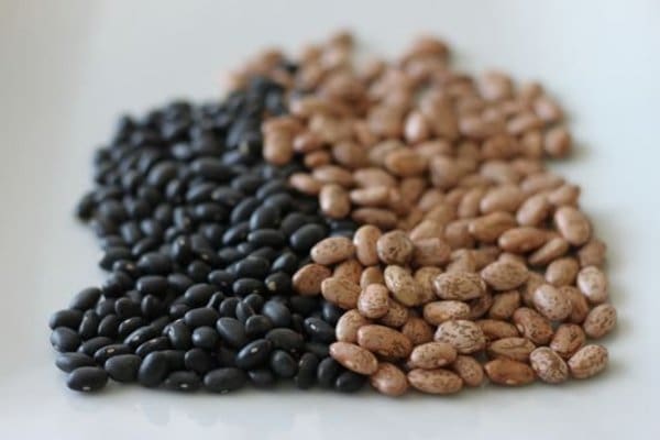 Dried Beans