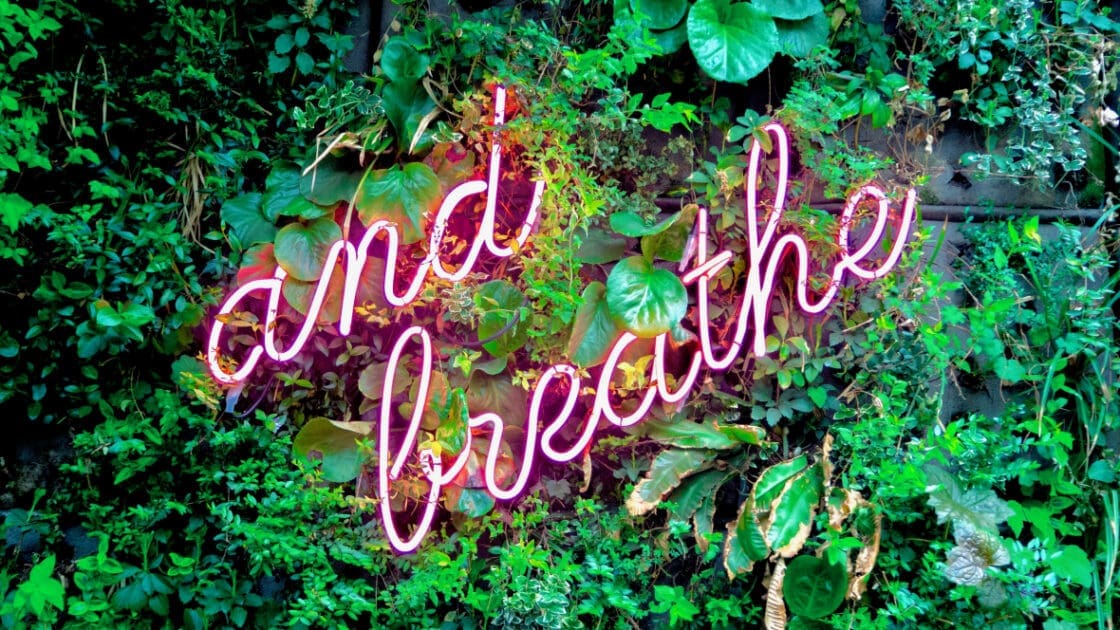 Wellness healthcare boils down to the 100 everyday choices