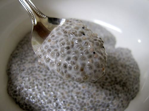 chia pudding