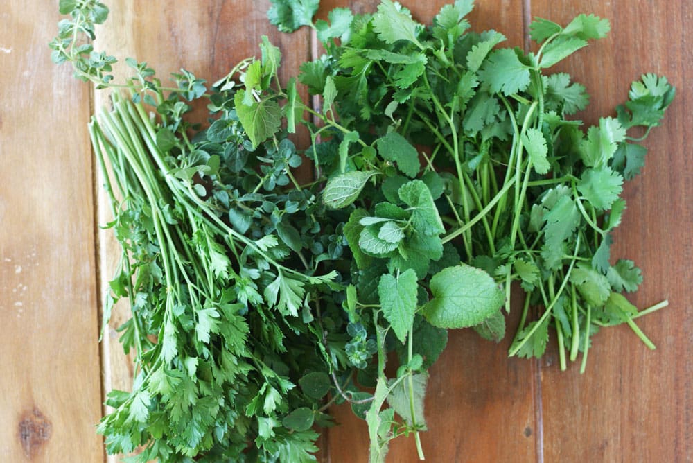 image of a fresh bunch of cilantro on a wooden cutting board to be used in chimichurri sauce to go on a chicken kabob recipe