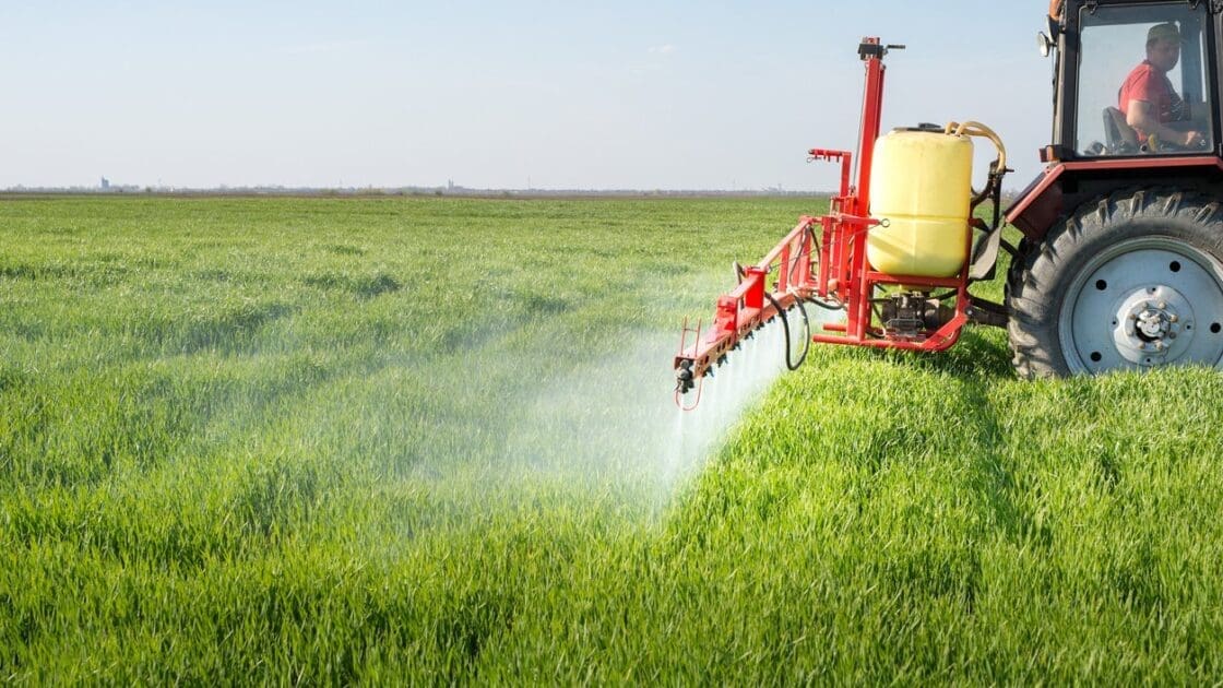 Dicamba Might Be Even More Dangerous Than Glyphosate