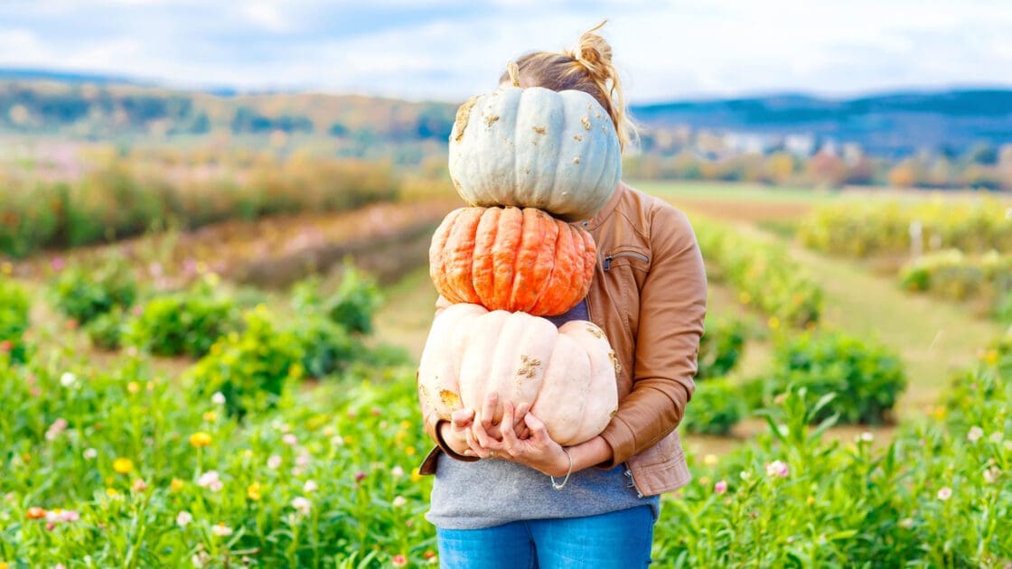 Eating Heirloom Pumpkins, Because Those Fall Decorations are Delicious