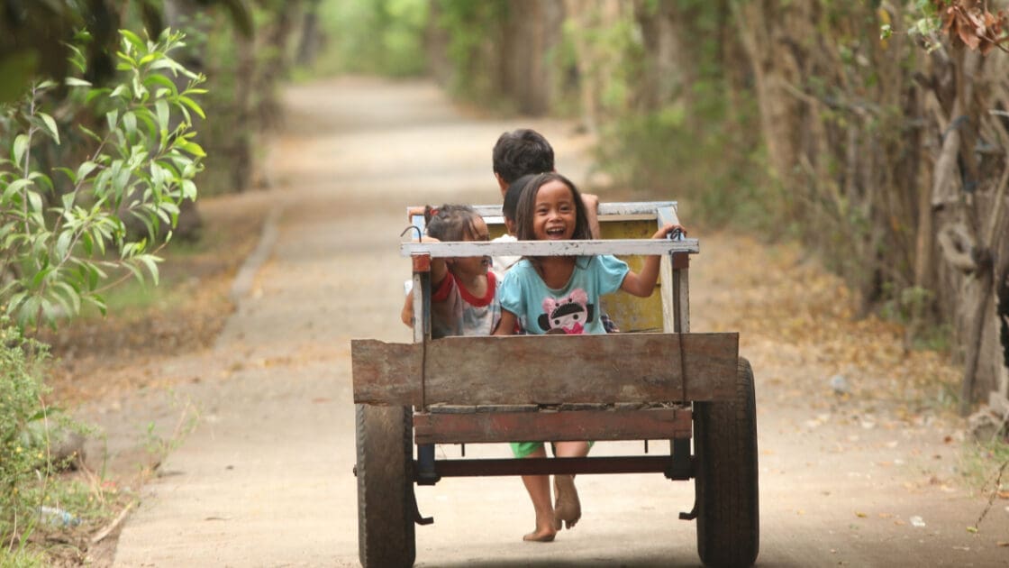 Forests, Not Farms, Improve Overall Health of Nearby Communities, Says New Research