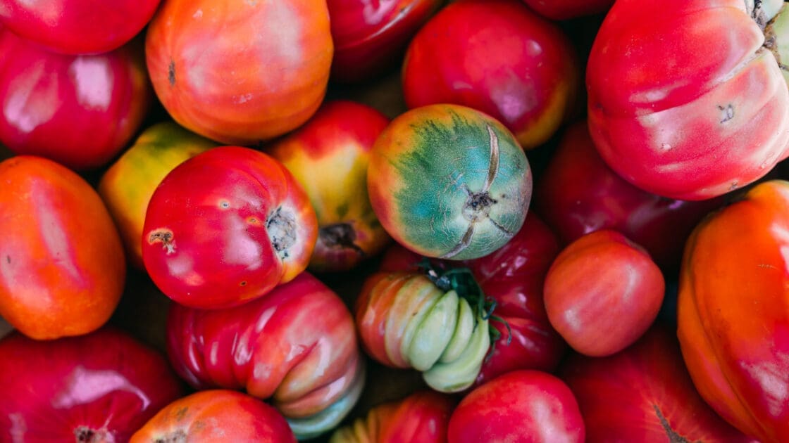 colorful different heirloom tomatoes