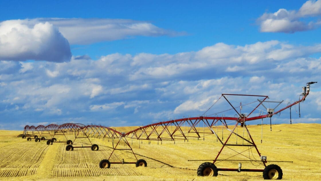 USDA Announces National GMO Labeling Regulations
