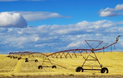 USDA Announces National GMO Labeling Regulations