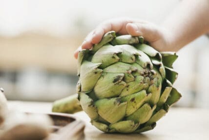 Forget Fat and Antioxidants: Fiber Rich Foods Trump All Food Fads