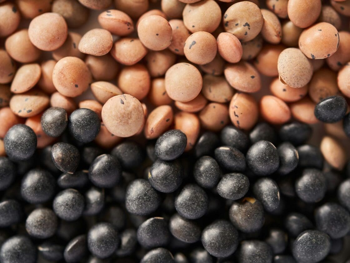 How to Cook Lentils, Types, Unsplash