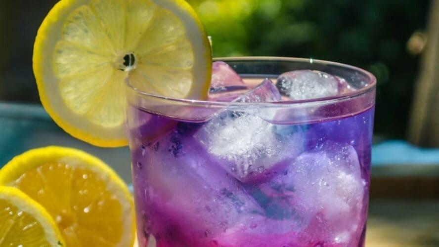 Blueberry Lemonade Google Imágenes