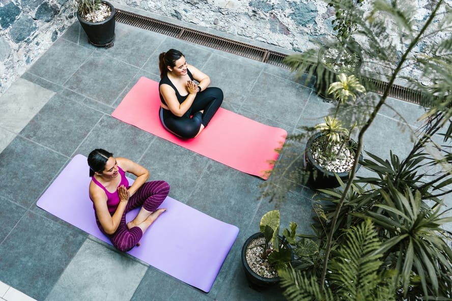Image of two women sitting cross-legged on yoga mats on an open terrace surrounded by plants.